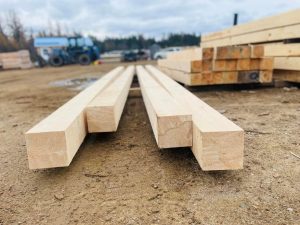 White pine beams