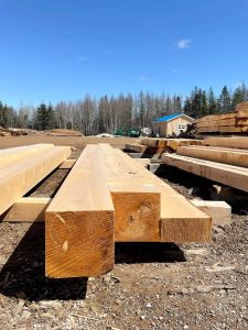 White pine beams or cants
