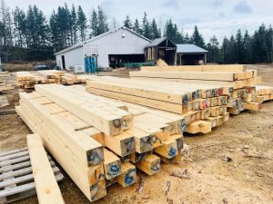 White pine squares or beams