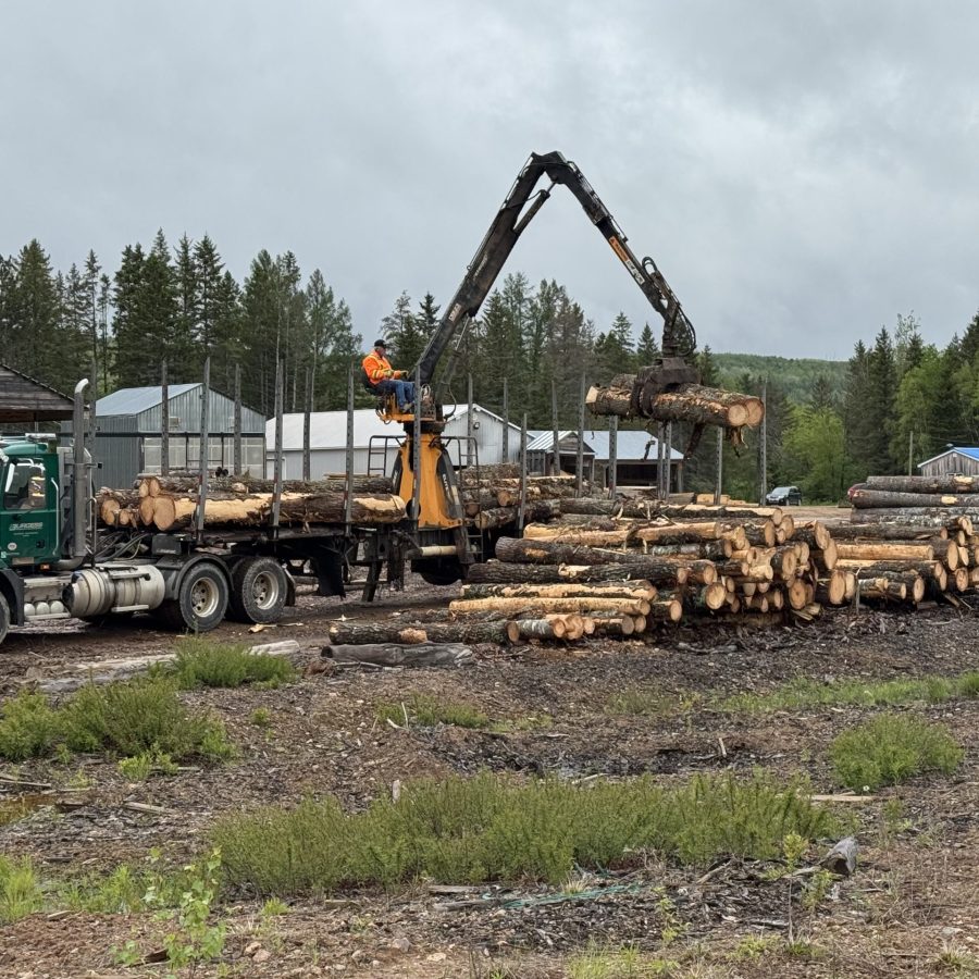 IMG_0240 Log yard at the Ayat Timbers sawmill in Penobsquis, NB