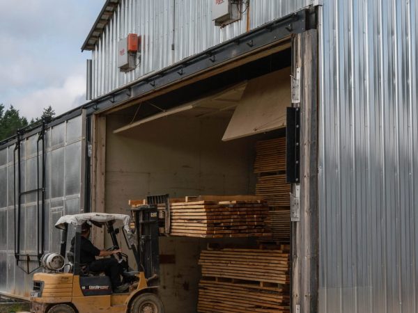 Ayat Timbers lumber kiln Forklift loading lumber into the Ayat Timbers drying kiln