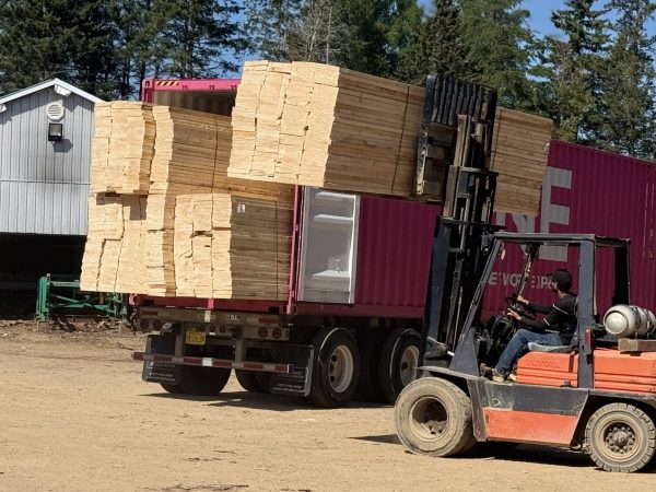 Export lumber bundles loaded for shipping Lumber bundles being loaded into a container on a truck for export